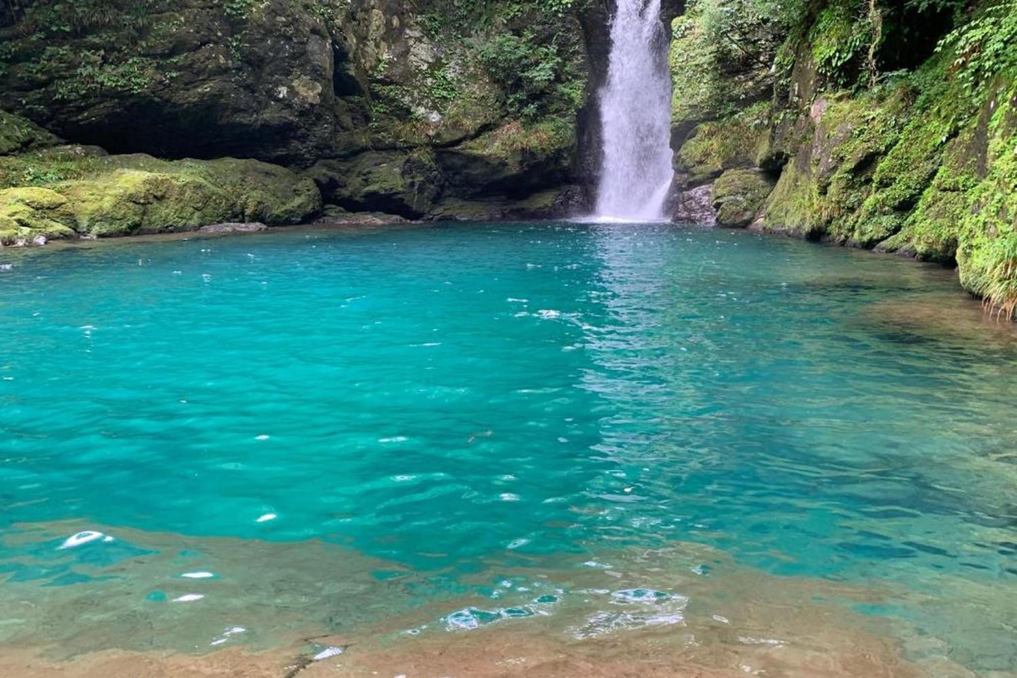 亀の井ホテル 高知 旅館 4*